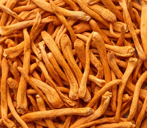 Cordicepina